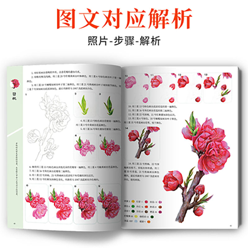 제로 베이직 과학 페인팅 드로잉 북의 실용적인 컬러 리 - Food Snacks Coloring Book 리뷰 및 가격