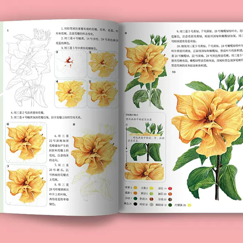 제로 베이직 과학 페인팅 드로잉 북의 실용적인 컬러 리 - Food Snacks Coloring Book 리뷰 및 가격